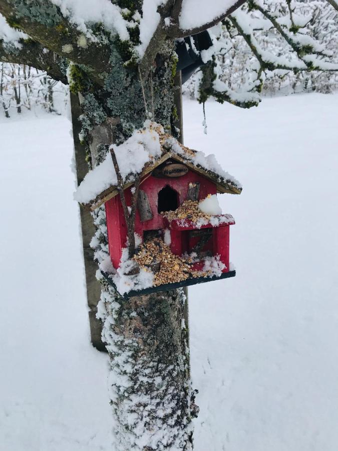 Gite De La Mesange Rochesson Exterior foto